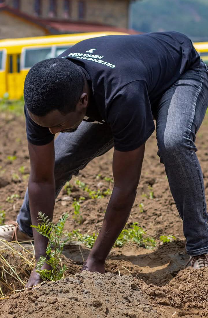 Environmental care program in action - Westridge Foundation Kenya